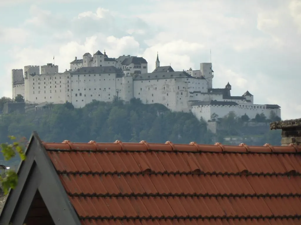 Penthouse Lettner Apartment Salzburg 0*,