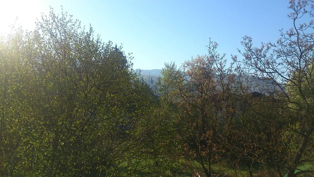 Penthouse Lettner Apartment Salzburg 0*,  Austria